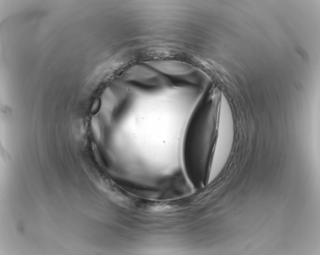 X0000090720759200708101553