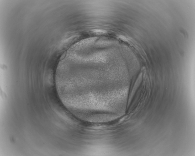 X0000090720760200708101553