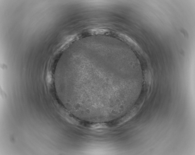 X0000090720761200708101553