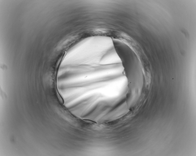 X0000090720762200708101553