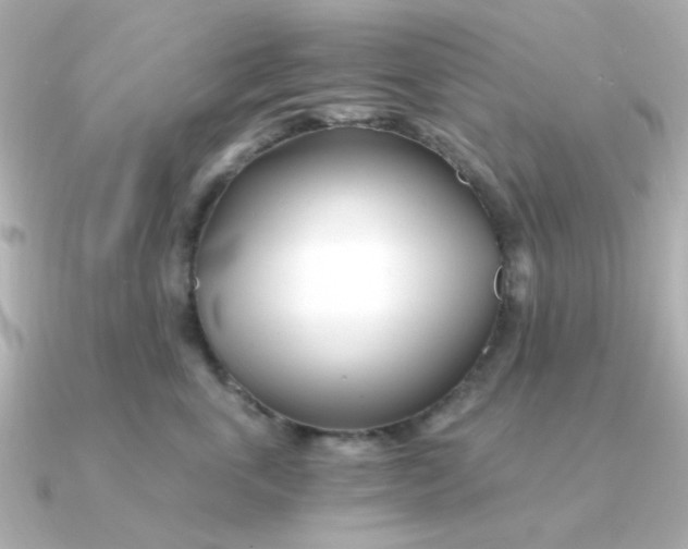 X0000090720763200708101553