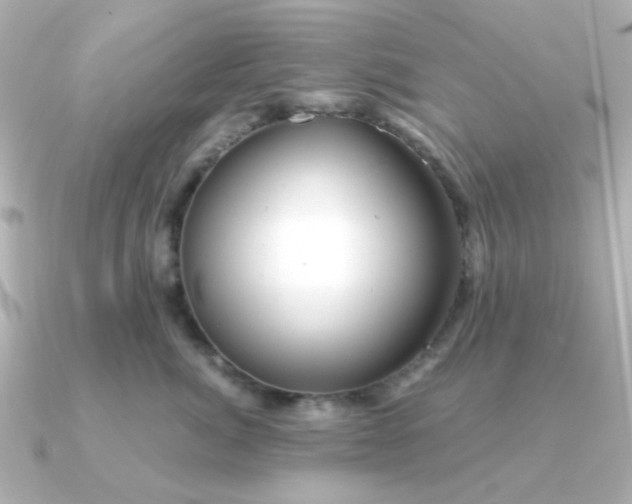 X0000090720764200708101553