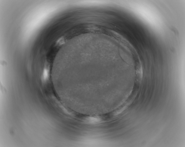 X0000090720765200708101553