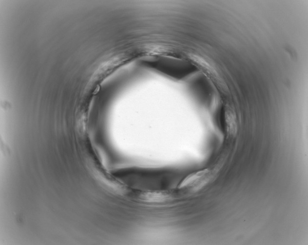 X0000090720766200708101553