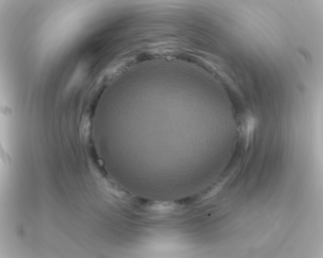 X0000090720767200708101553