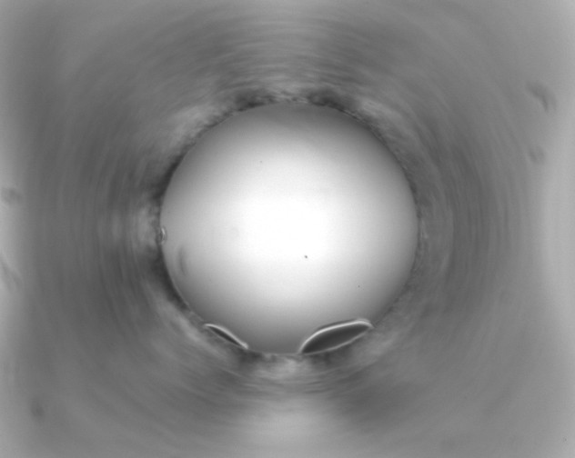 X0000090720768200708101553