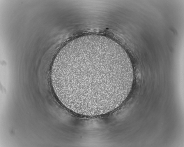 X0000090720769200708101552