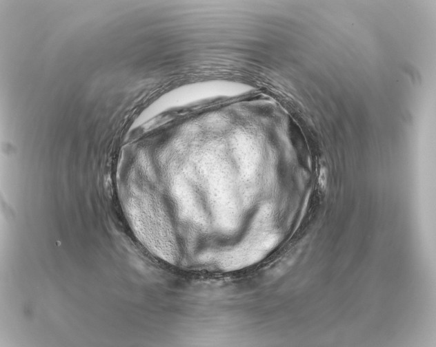 X0000090720771200708101552