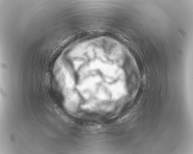 X0000090720772200708101552