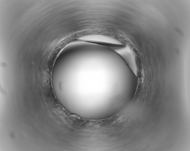 X0000090720773200708101552