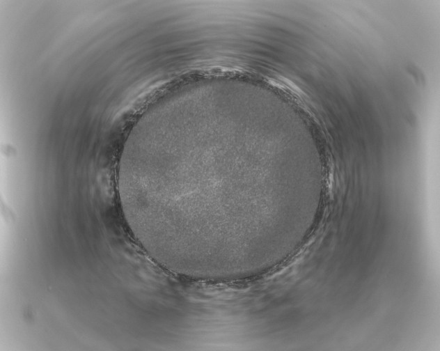 X0000090720774200708101552