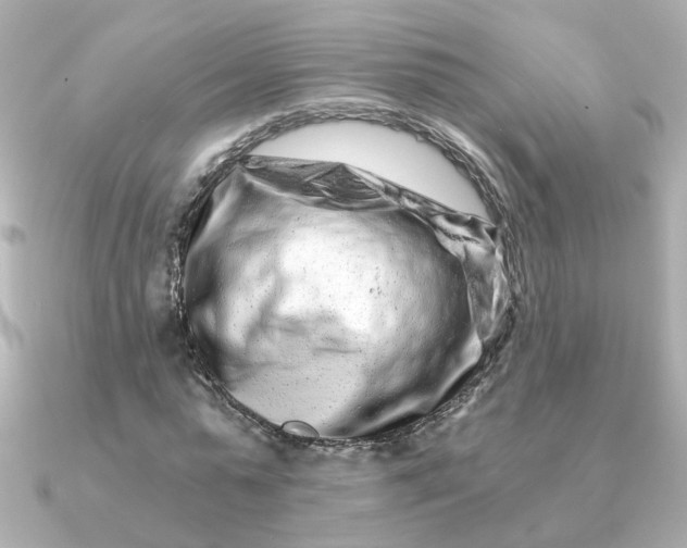 X0000090720775200708101552