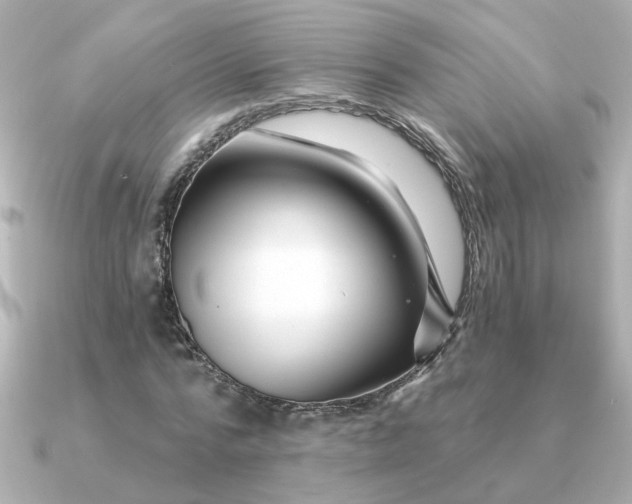 X0000090720776200708101552