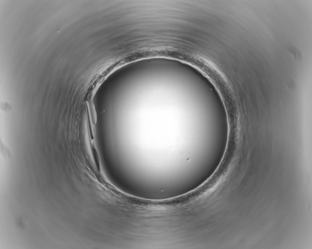 X0000090720777200708101552