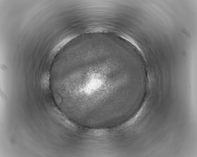 X0000090720778200708101552