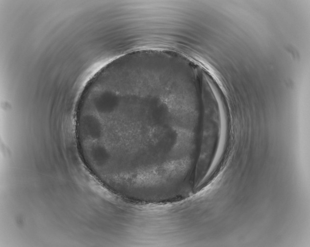 X0000090720779200708101552