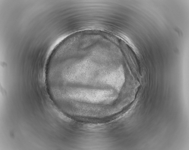 X0000090720780200708101552