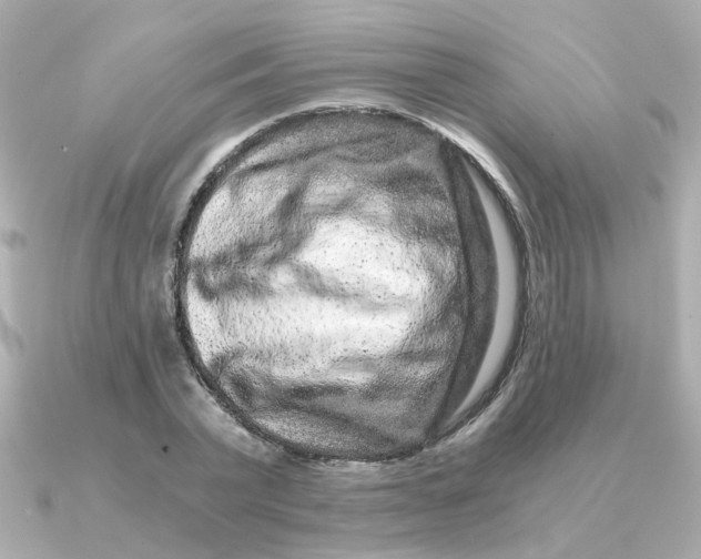 X0000090720783200708101552