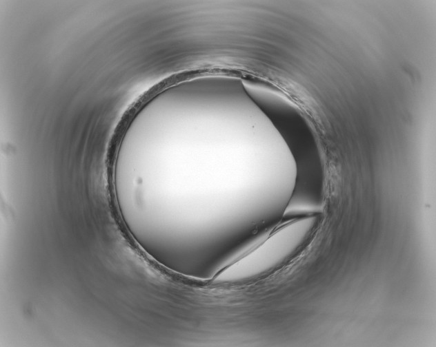 X0000090720784200708101552