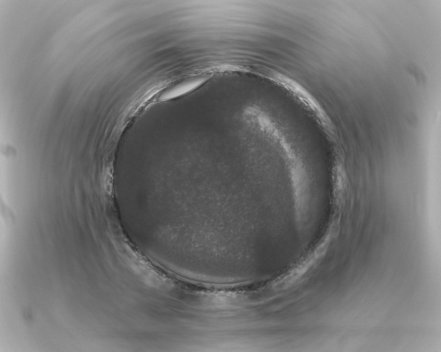 X0000090720785200708101552