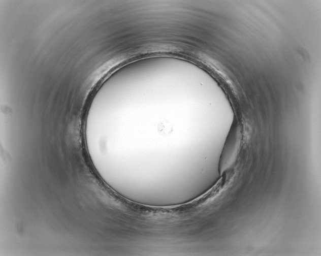 X0000090720786200708101552