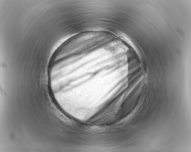 X0000090720787200708101552