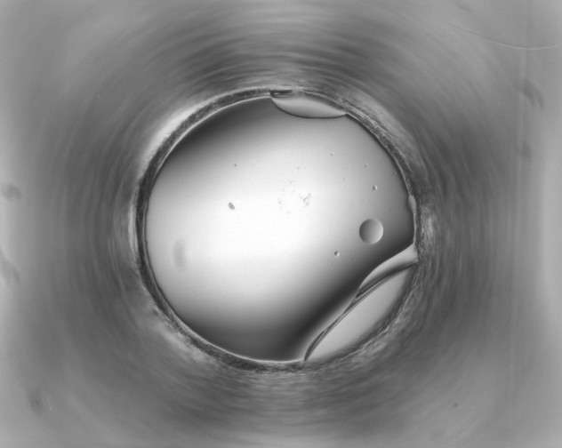 X0000090720788200708101552