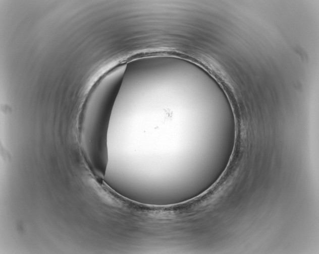 X0000090720789200708101552