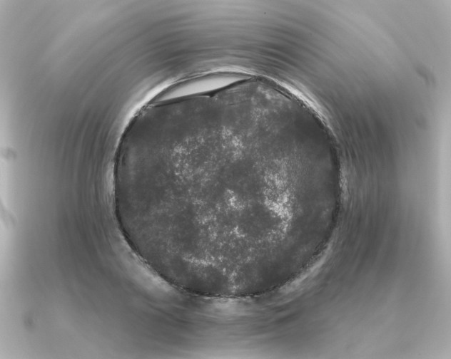 X0000090720790200708101552