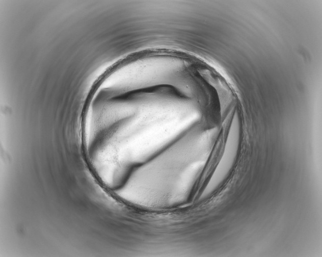 X0000090720791200708101552