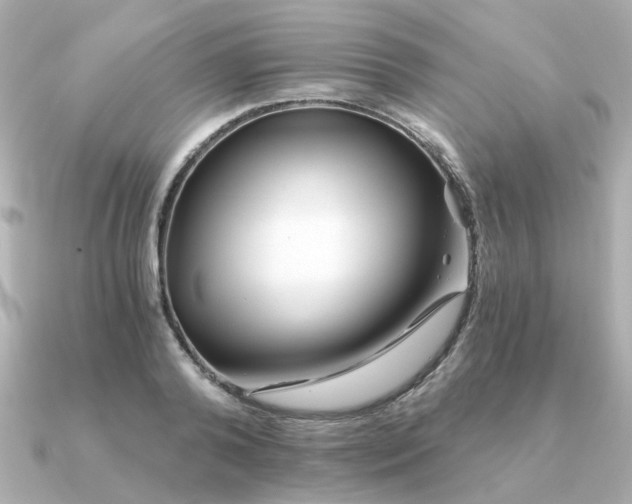 X0000090720792200708101552