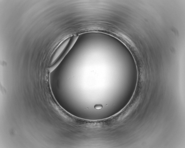 X0000090720793200708101552