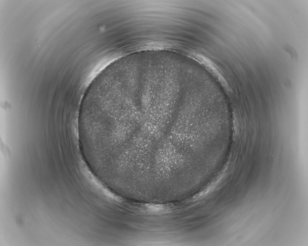 X0000090720794200708101552