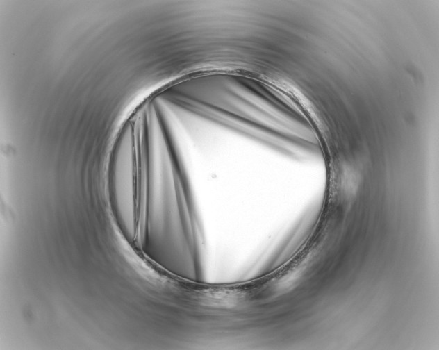 X0000090720795200708101552