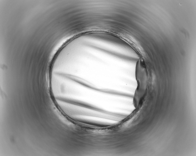 X0000090720796200708101552