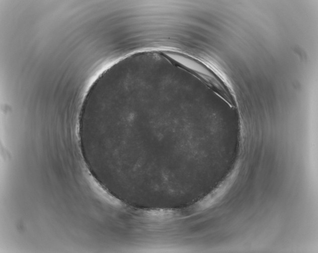 X0000090720797200708101552