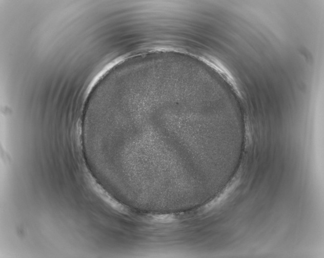 X0000090720798200708101552