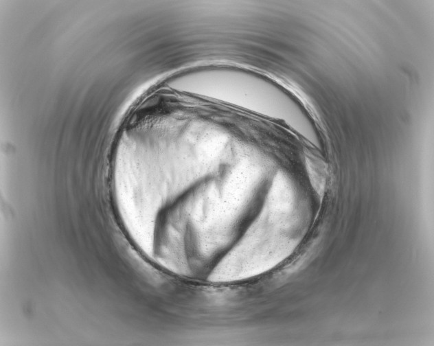 X0000090720799200708101552