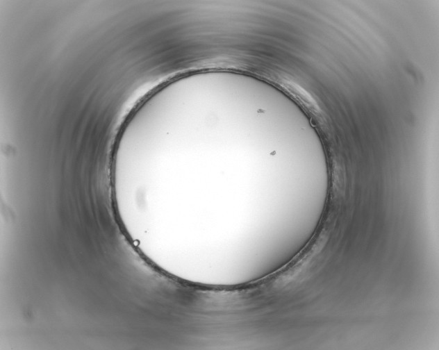 X0000090720800200708101552