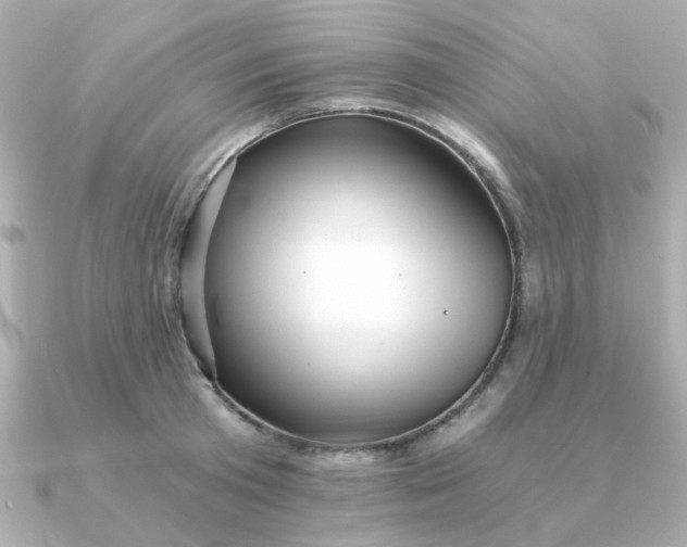 X0000090720801200708101552