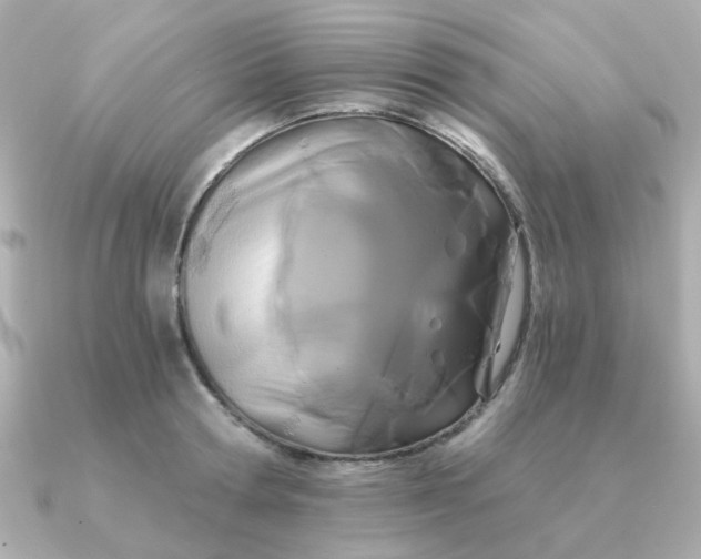 X0000090720802200708101552