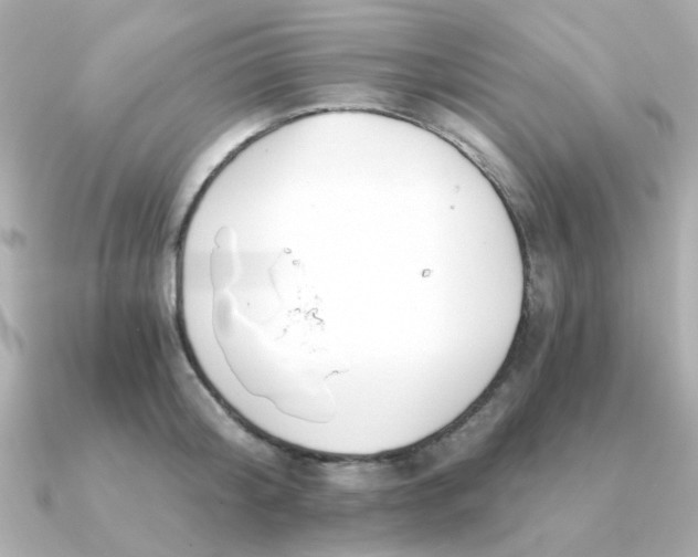 X0000090720804200708101552