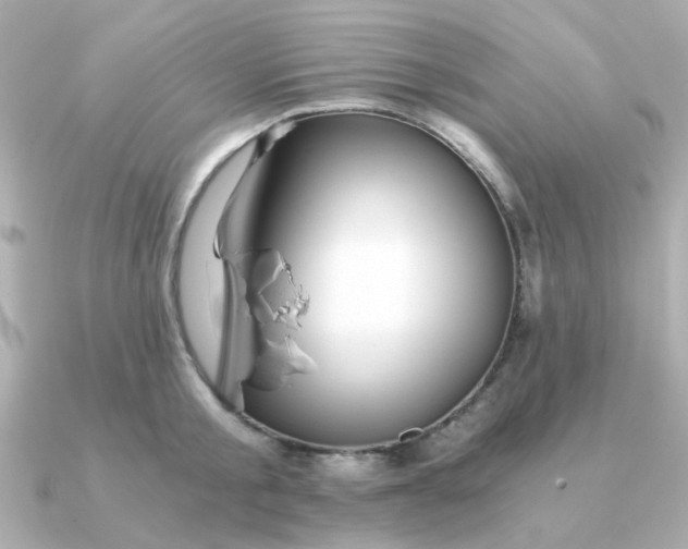 X0000090720805200708101552