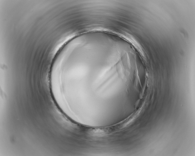 X0000090720806200708101552