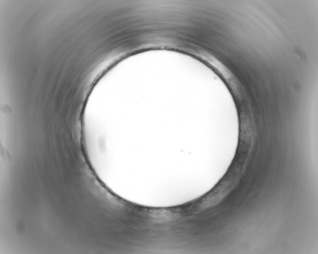 X0000090720807200708101552