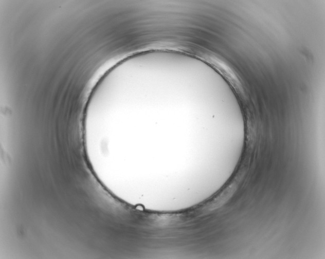 X0000090720808200708101552