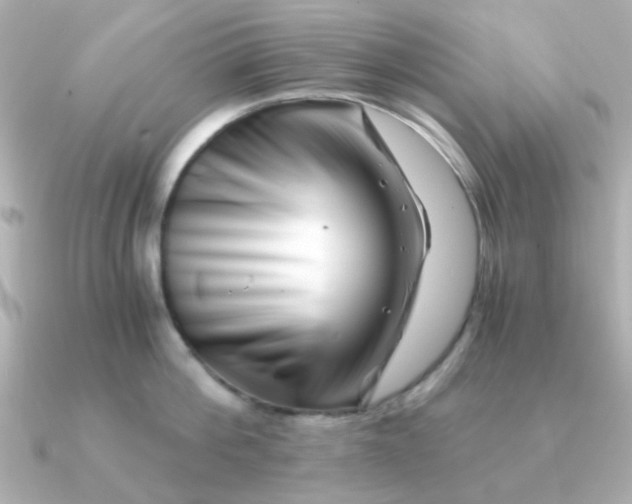 X0000090720812200708101552