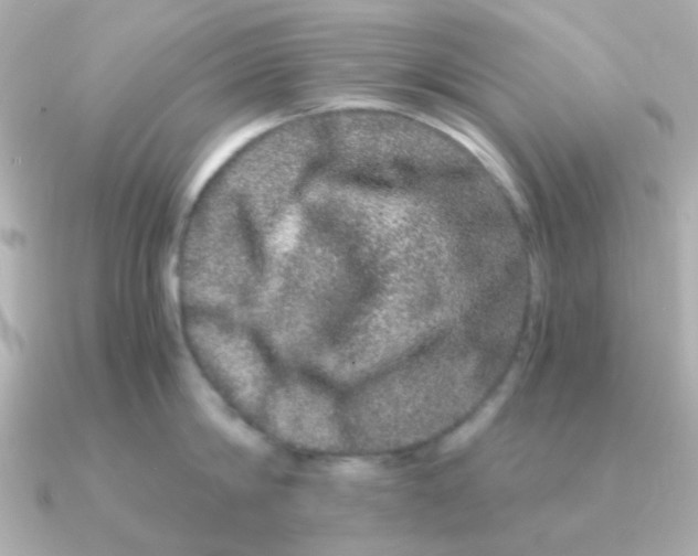 X0000090720814200708101552