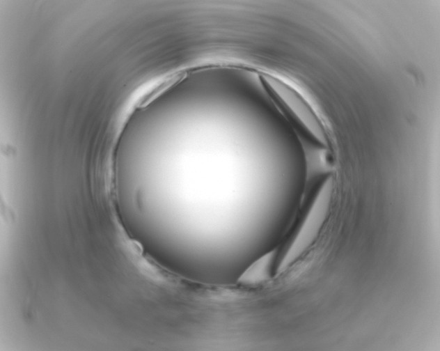 X0000090720815200708101552