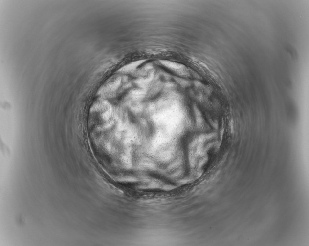 X0000090720817200708101551